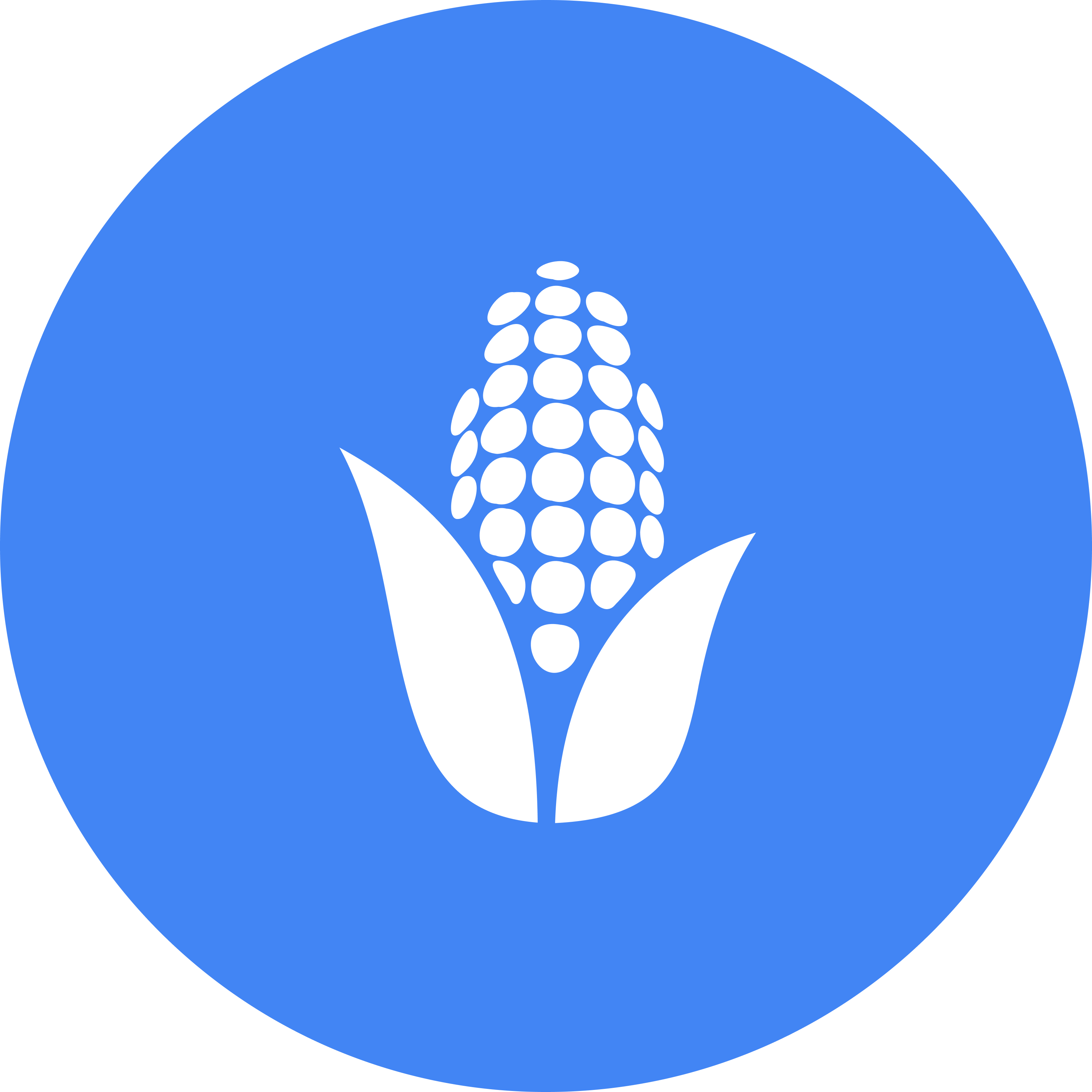 Morochos